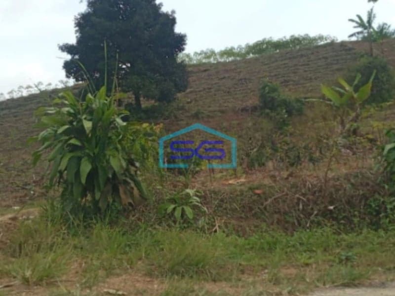 Dijual Tanah Lokasi di Cikembar Sukabumi Lahan Bagus LT 50000m2