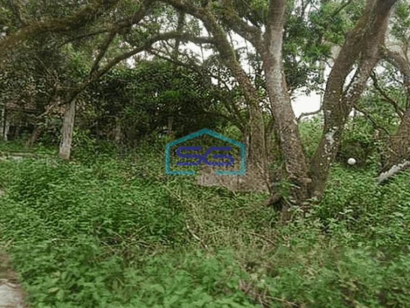 Dijual Tanah Murah Pinggir Jalan Utama Parung Panjang Bogor Jawa barat LT 8538m2