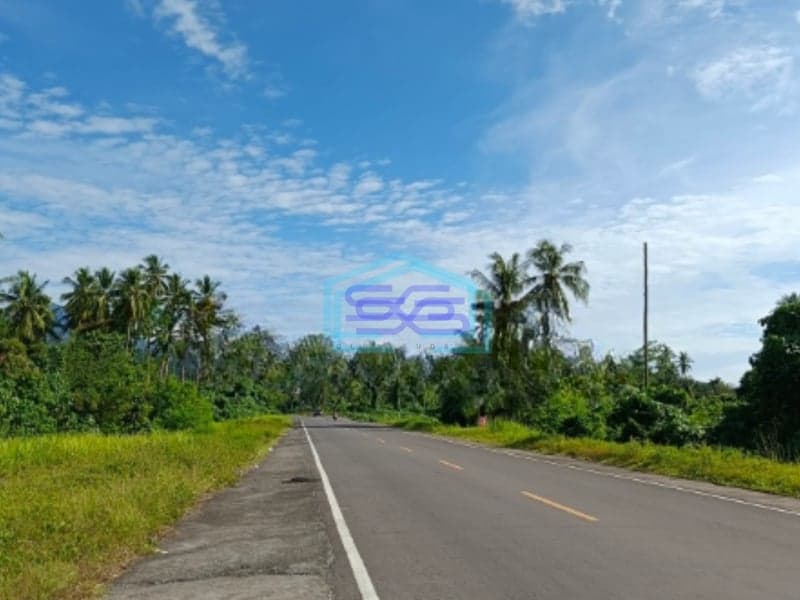 Dijual Tanah 5h~100h Di Ring Road 3 Di Malalayang Manado Luas Tanah (PxL)  100000 m²