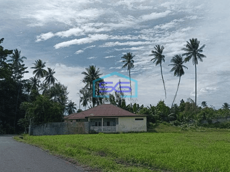 Dijual Luas Tanah 3000m2 di Jalan aa Aramis Manado