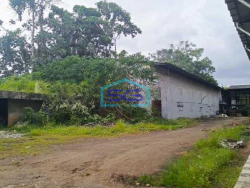 Disewakan Gudang Di Tangerang Kota Luas Bangunan 12261m2