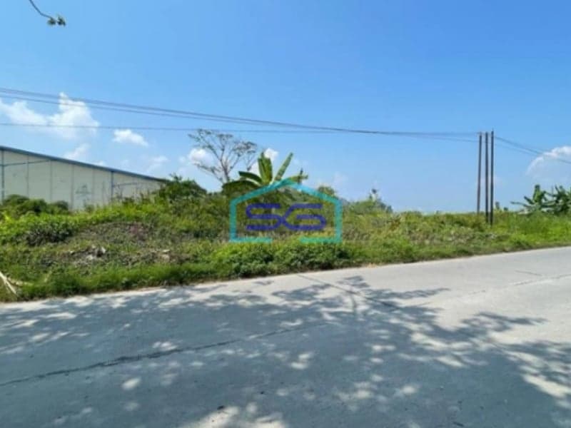 Dijual Tanah Strategis Cocok Untuk Dibangun Gudang/Pabrik di Sayung Demak Jawa Tengah LT 5372m2