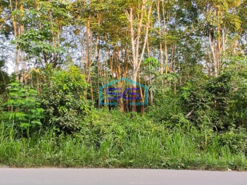 Dijual Tanah dengan Bonus Kebun Karet di Lingkar Prabumulih Sumatera Selatan