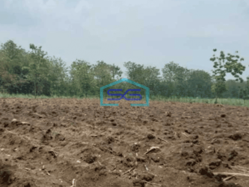 Dijual Tanah Zona Industri Strategis Tangen Sragen Luas 25 Ha