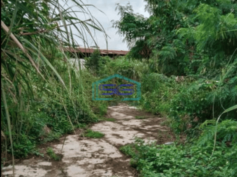 Disewakan Tanah Area Sudirman Cocok Untuk Lapangan Olahraga Seperti Padel