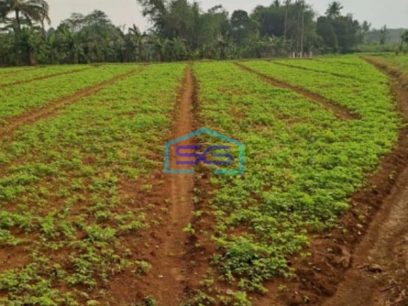 Dijual Tanah Di Bojong Kopasus Kemang Bogor Luas 4500m2