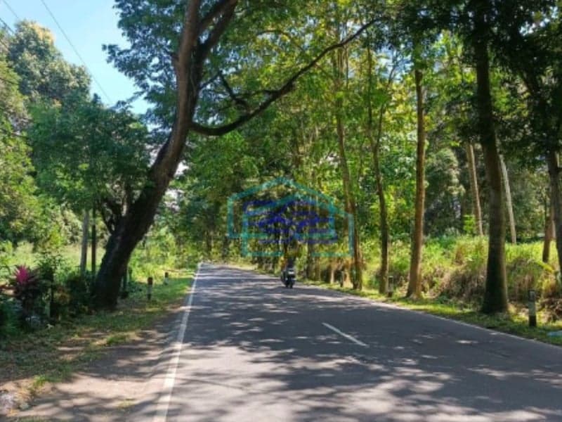 Dijual Tanah 1,1h Jl 46 Kota Bitung Dekat Pelabuhan Pas Buat Gudang Madidir, Bitung Luas Tanah (PxL)  11000 m