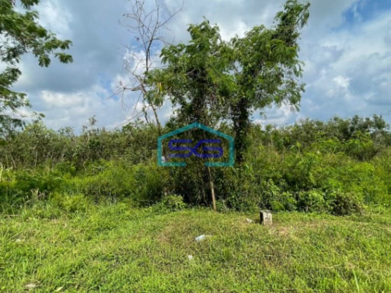 Dijual Tanah 4 Hektar Jalan Tanjung Api Api Km 8 Palembang