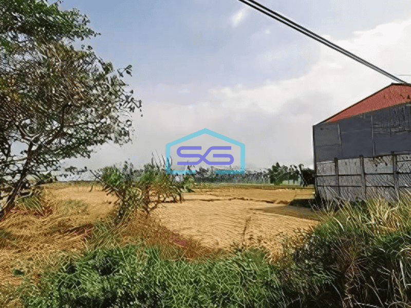 Dijual Tanah Komersial Nol Jl Raya Dekat Pasar Benjeng Dan SPBU Cocok Utk Ruko Gudang di Benjeng Gresik