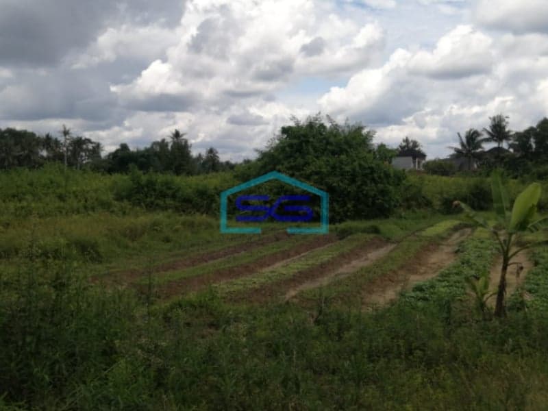 Dijual Tanah Luas Strategis Purwosari Celentang Palembang LT 21000m2