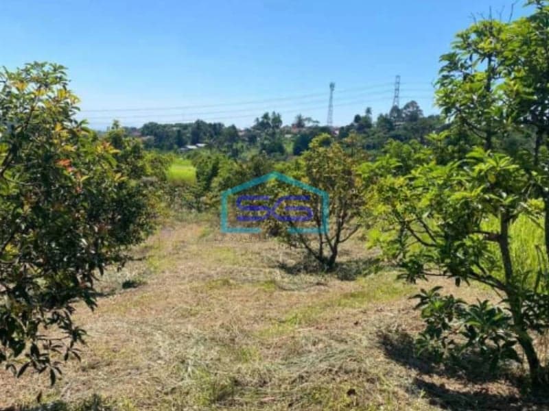 Dijual Tanah di Bojong Genteng Sukabumi Luas Tanah 75000m2