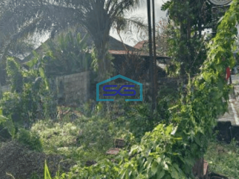 Dijual Tanah Pinggir Jalan Raya di Ubud Bali