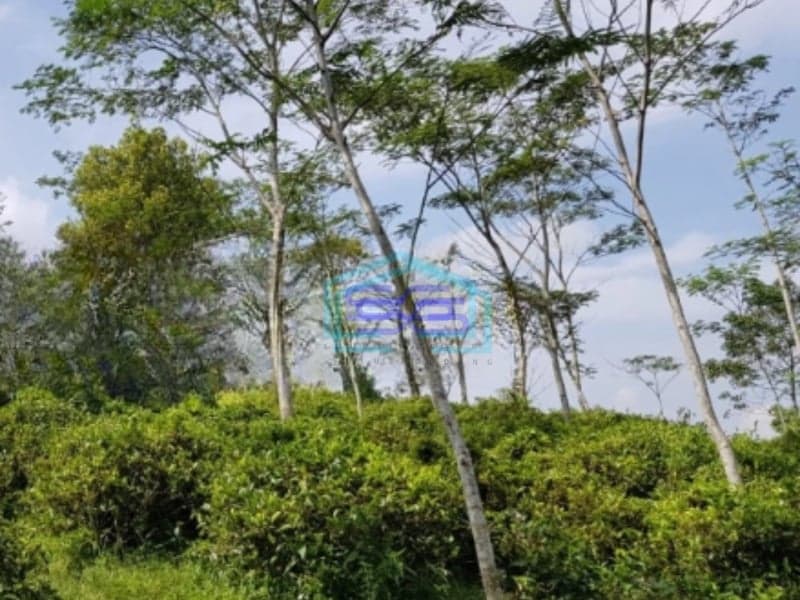 Dijual Tanah Luas 260000 m² Lokasi Cianjur Jawa Barat