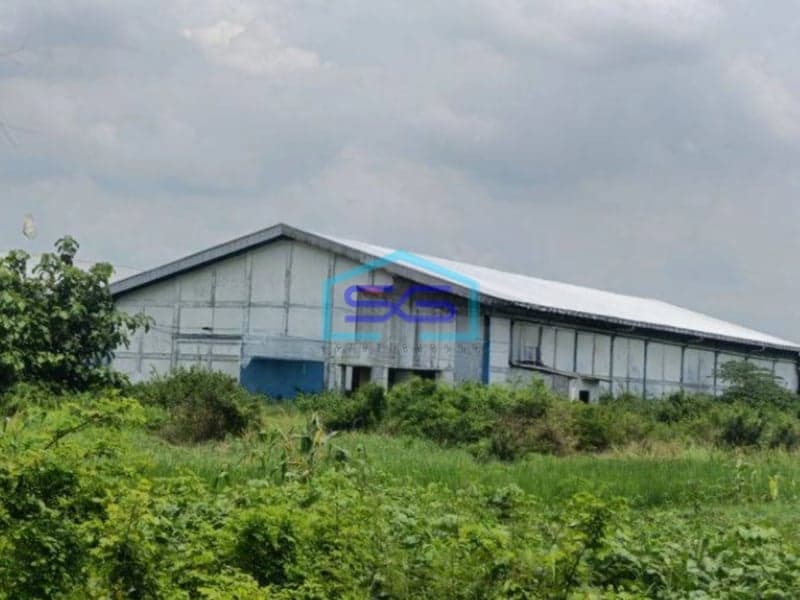 Dijual Gudang Murah Jl Raya Provinsi Balong Panggang Gresik Strategis Dekat Lamongan Mojokerto Dan Surabaya