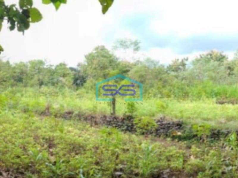 Dijual Tanah LT 7638m2 di Bendungan Karangmojo Gunung Kidul Yogyakarta Strategis Murah