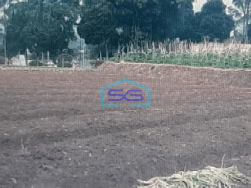 Dijual Tanah Dipinggir Jalan Raya Ciherang Cianjur LT 2695m2