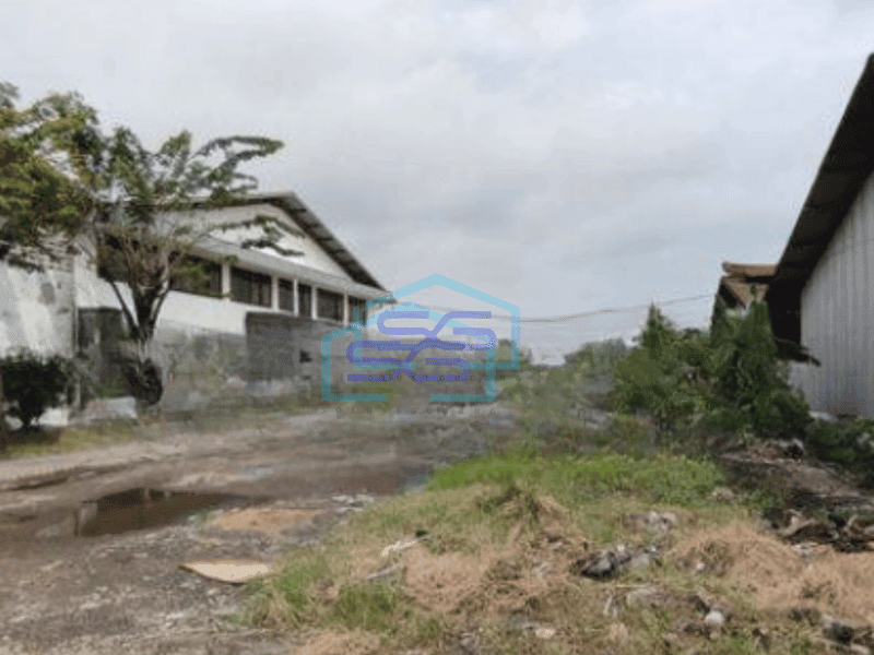 Disewakan Gudang Tambak Sawah Sidoarjo Dekat Rungkut Industri