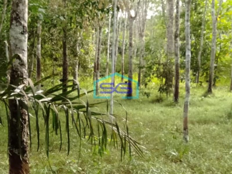 Dijual Tanah Plus 2 Unit Bangunan di Pulau Harapan Km 28 Jalan Palembang LT 17000m2