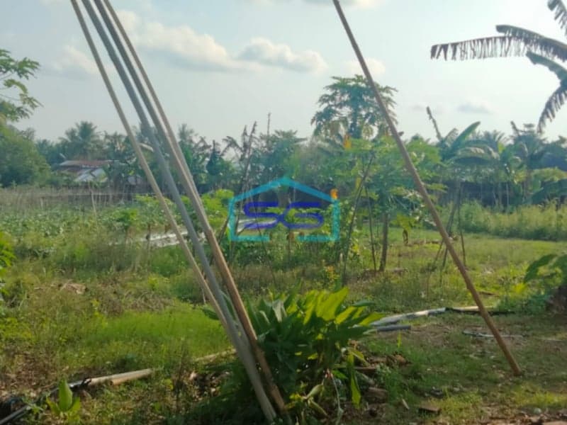 Dijual Tanah di Jalan Sukamoro Sei Hitam Palembang Banyuasin Luas 60000m2