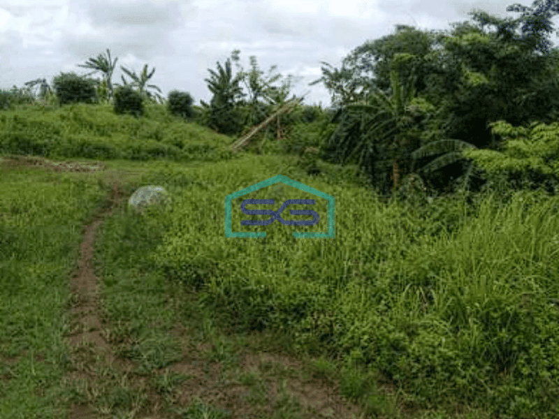 Dijual Tanah Siap Pakai Di Jl Raya Kresek Tangerang Luas 154931m2