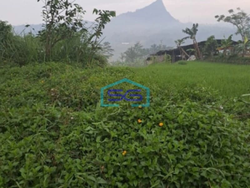 Dijual Tanah Sukamakmur Bogor Nempel Jalan Provinsi LT 2000m2