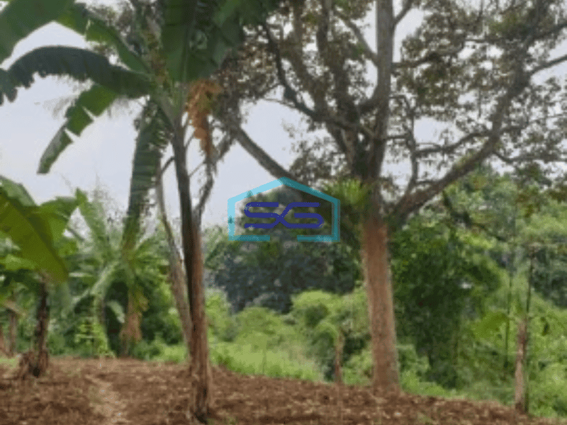 Dijual Kavling keluarga di Banjarsari Bogor, Lingkungan aman dan nyaman Luas Tanah 2023 m²