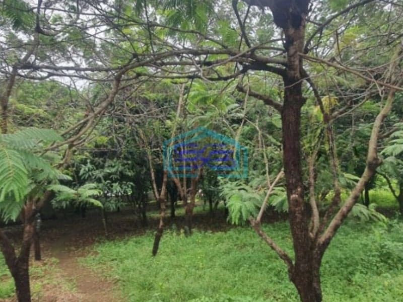 Dijual Tanah Luas 2600 m² Lokasi di Cikupa Tangerang