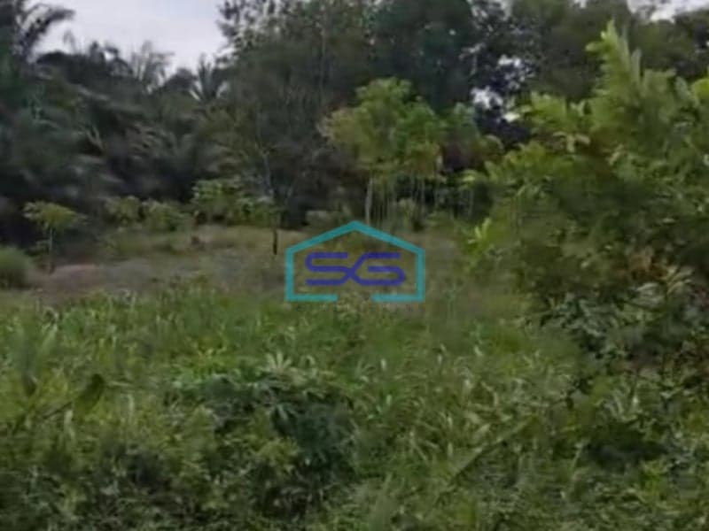 Dijual Luas Tanah 1 Hektar di Kandis Siak Riau Dekat ke Tol