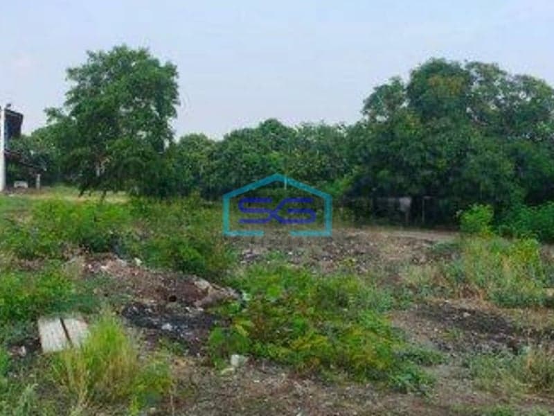 Disewakan Tanah Tipar Cakung Jakarta Timur Luas 7000m2