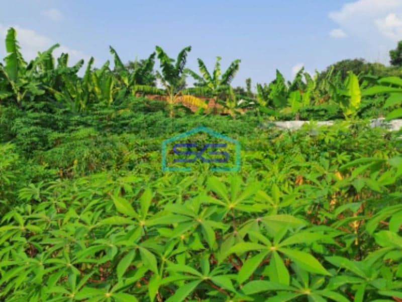 Dijual Tanah di Desa Sentul Kawasan Industri Babakan Madang Bogor LT 1500m2