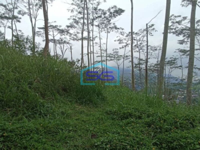 Dijual tanah bukit dapat view cantik di karangkobar banjarnegara