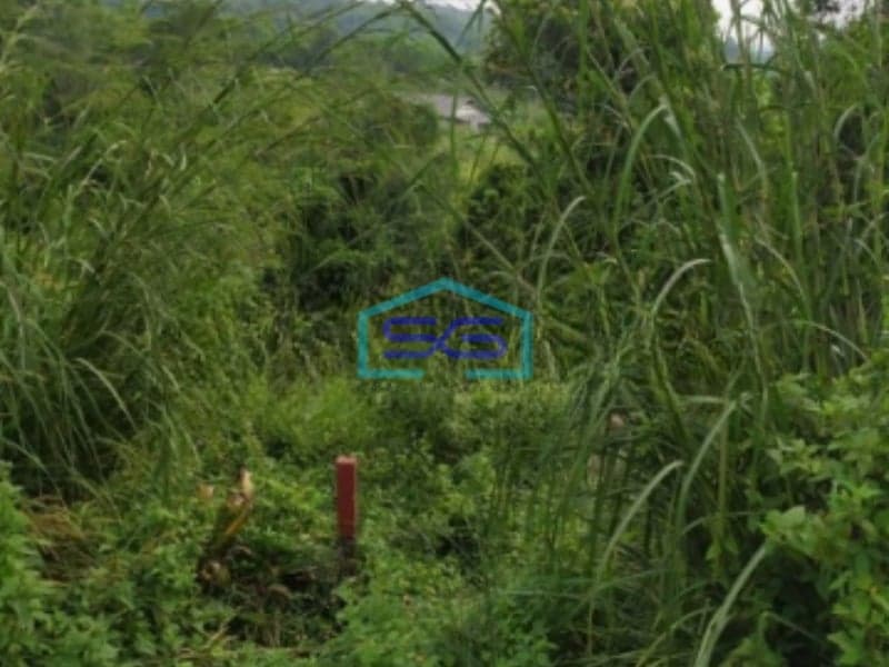 Dijual Tanah Kavling Luas 5891m2 di Jonggol Bogor Jawa Barat