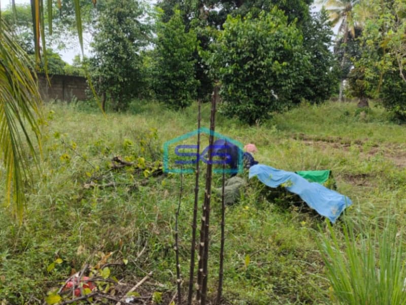 Dijual Tanah Jalan Rawasari Lorong Teratai Palembang Sangat Strategis