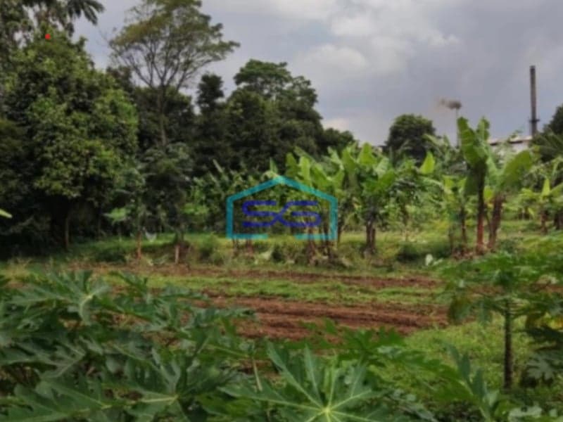 Dijual Tanah Di Rancamaya Bogor Luas Tanah 10895m2 SHM