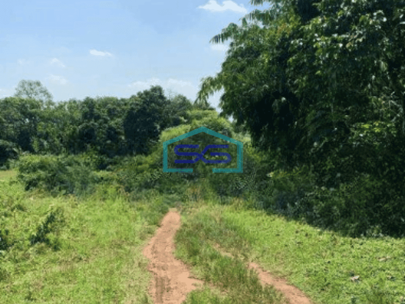 Dijual Tanah Luas 9013 m² Akses Container 40 Feet di Cikeusal Serang