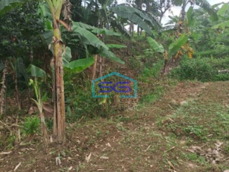 Dijual Tanah di Sentul City Bogor Dengan Luas 3000m2