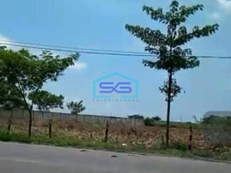 Dijual Tanah Property di Jalan Provinsi Tuban Widang Jawa Timur Luas 40000m2