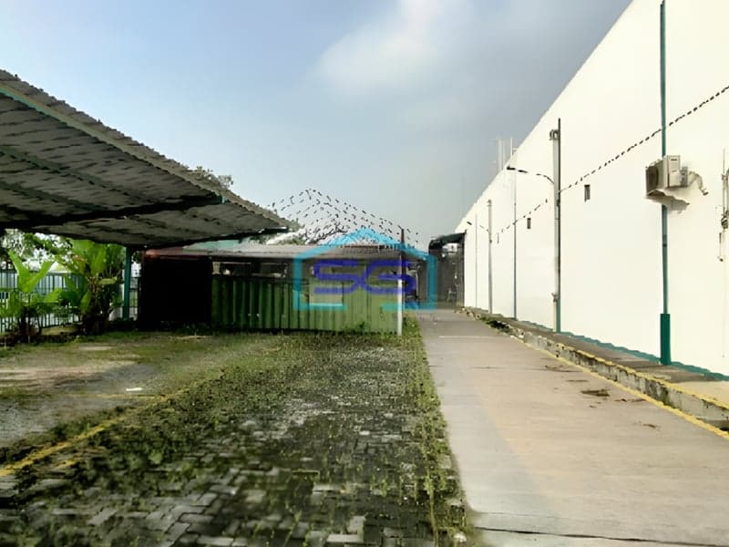 Dijual Gudang Kondisi Bagus Di Jababeka Bekasi Luas Tanah 3100m2