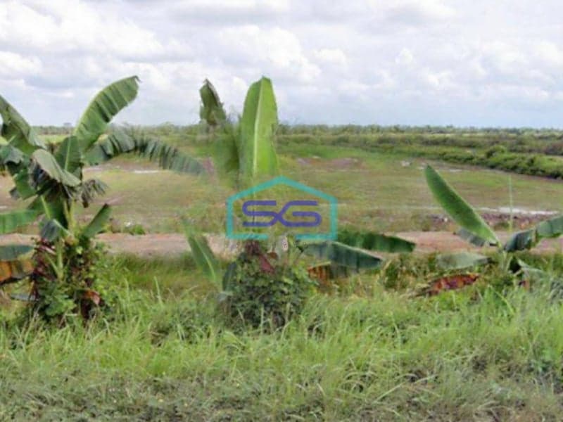 Dijual Tanah di Kawasan Ekonomi Khusus Kek Tanjung Api Api Palembang Sumatera Selatan