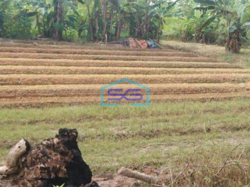 Dijual Tanah Kondisi Bagus di Balikpapan LT 9512m2