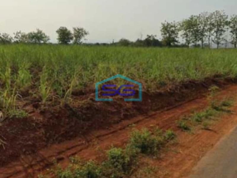 Dijual Tanah Dalam Zona Industri Lokasi Mayong Jepara Tengah Luas 35000m2