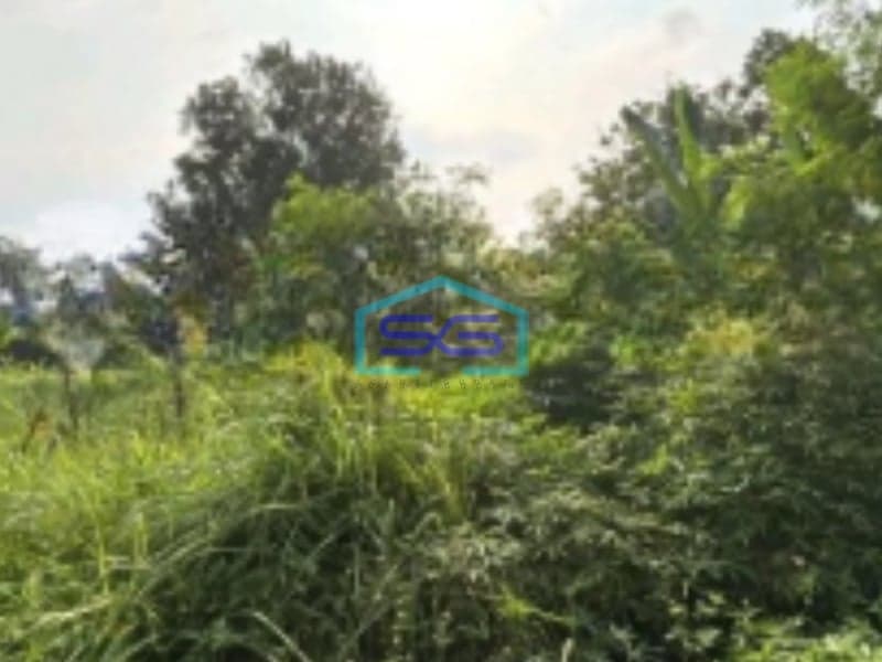 Dijual Tanah Kavling Di Balaraja Pasir Muncang Kabupaten Tangerang LT 5000m2