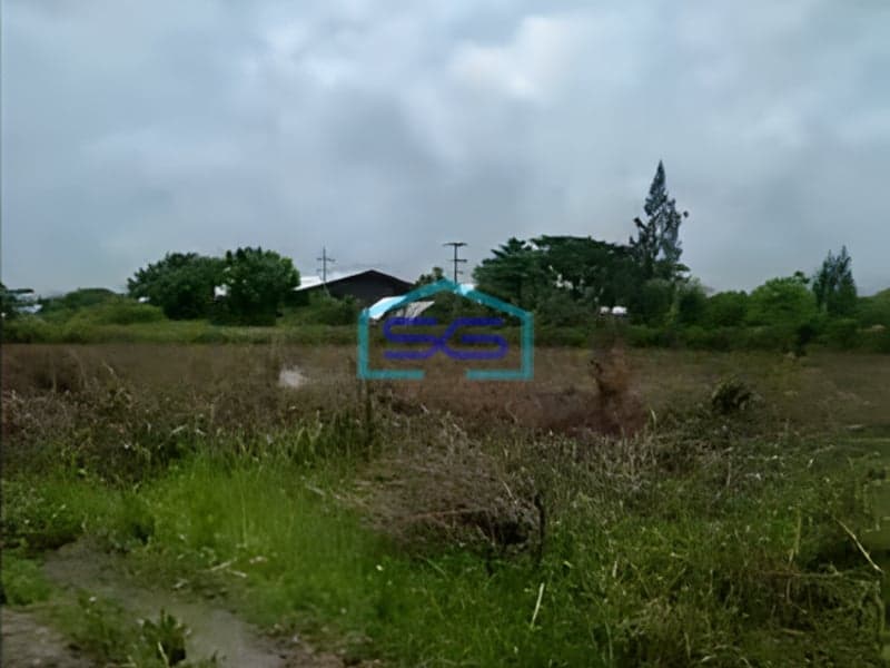 Dijual Tanah Industri di Tuban Kecamatan Widang Jawa Timur Luas 4 Hektar