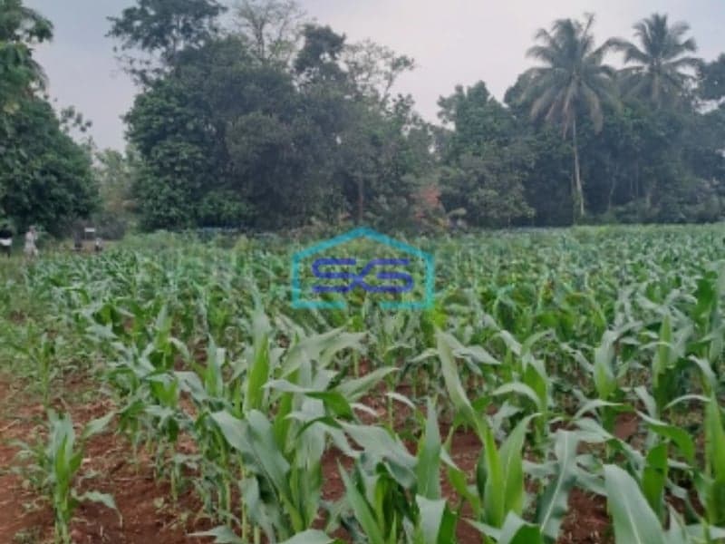 Dijual Tanah Di Kemang Bogor Luas Tanah 12000m2