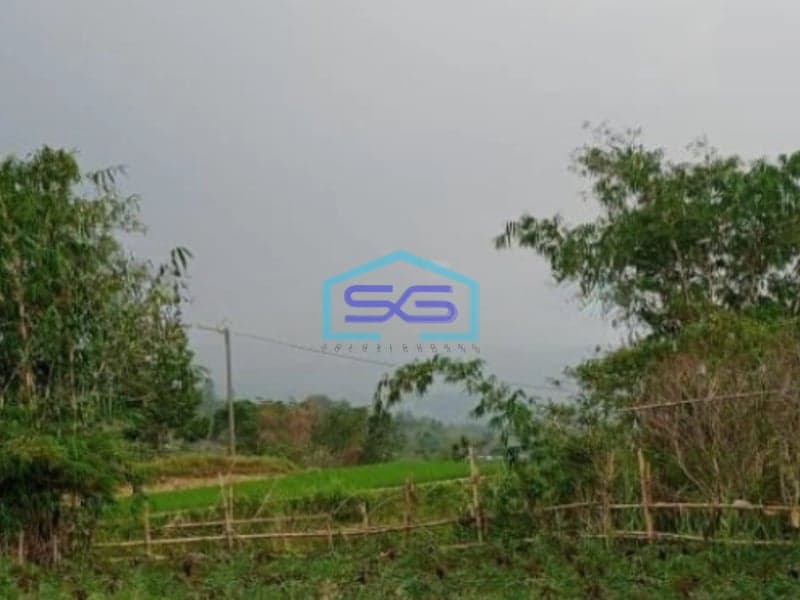 Dijual Tanah Lokasi Bagus Desa Pabuaran Sukamakmur Bogor Luas Tanah 20000m2