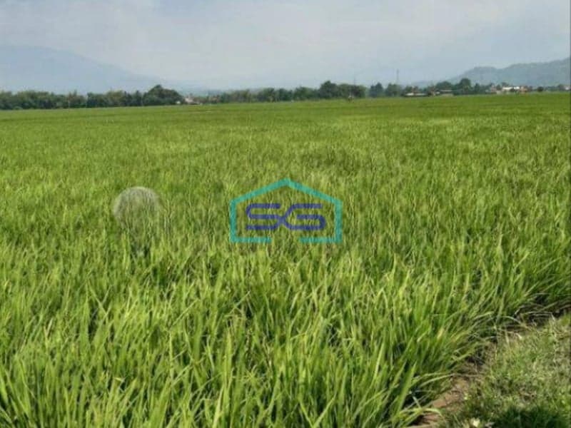 Dijual Cepat Tanah di Ciparay Bandung LT 4079m2