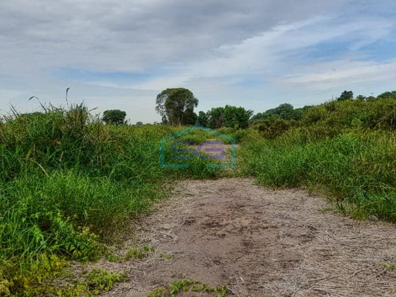 Dijual Tanah Super Luas 2 Hektar di Jakabaring Palembang