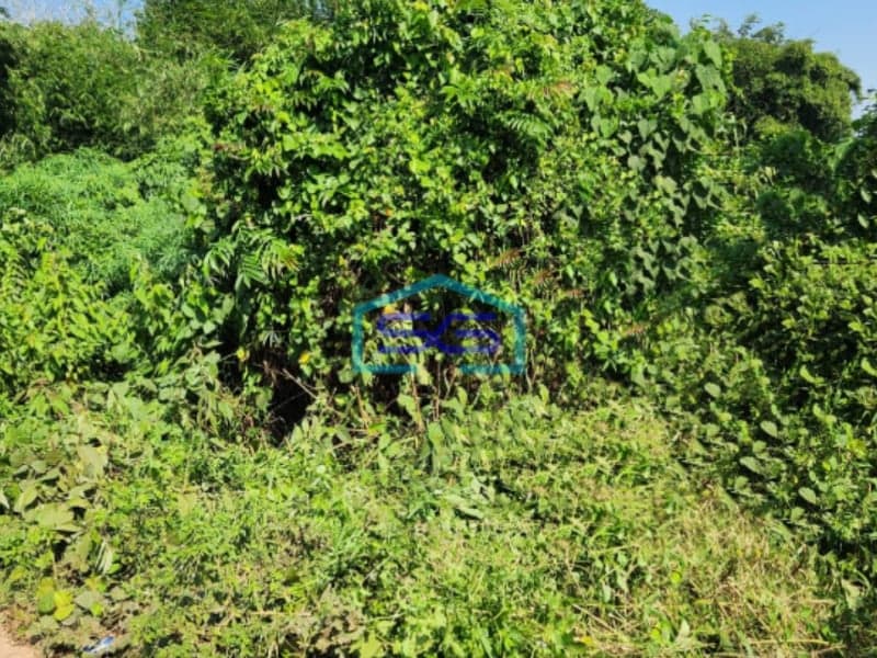 Dijual Tanah Kosong Luas di Banyuasin Sumatera Selatan Luas Tanah 118462m2