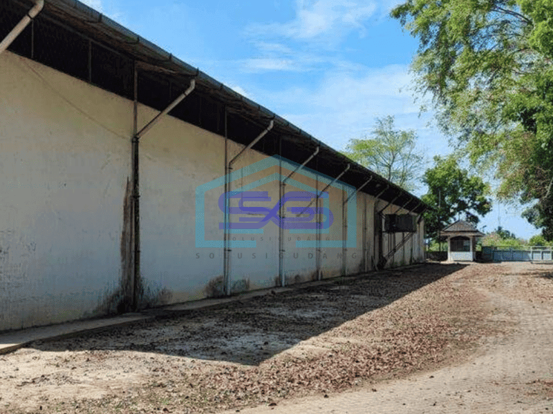 Disewakan Gudang Tanjung Morawa Medan