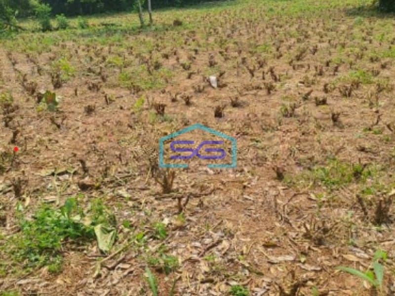 Dijual Tanah Di Kemang Bogor Luas Tanah 3500m2 SHM